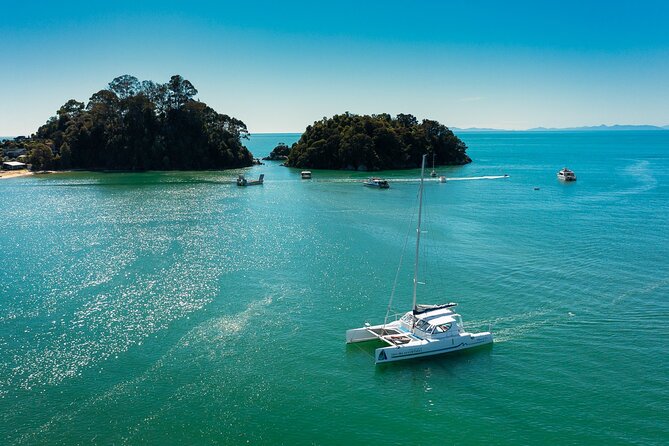 Best Abel Tasman Day trip - Kayaking, snorkeling, swimming, or doing very little