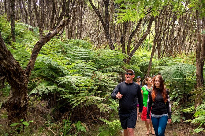 Best Abel Tasman Day trip - How the six-hour schedule feels