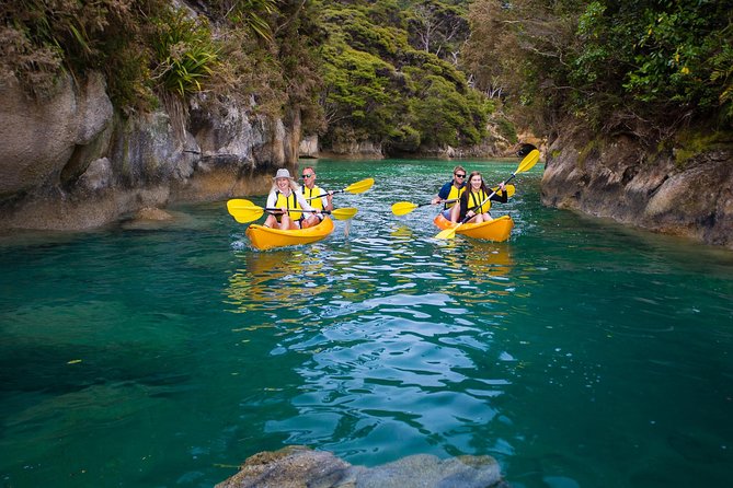 Best Abel Tasman Day trip - Tonga Island Marine Reserve and its wildlife