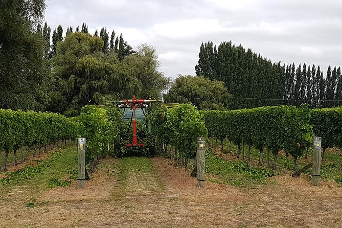 Beyond the Vines - Full-Day Marlborough Wine Tasting Tour - Who should book this tour?