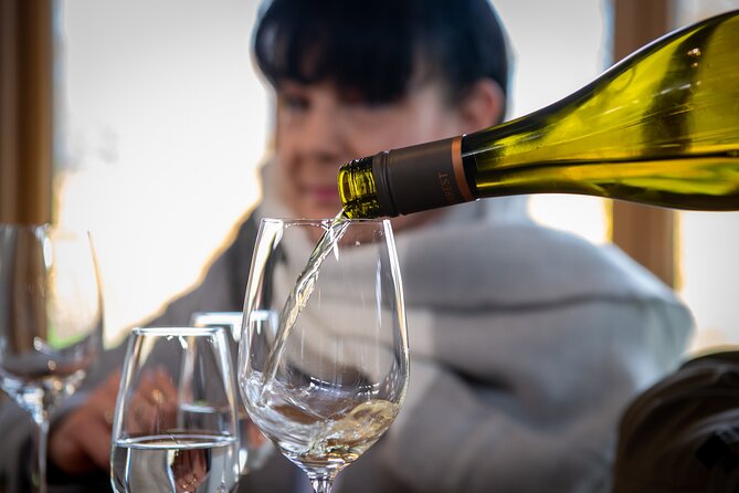 Beyond the Vines - Full-Day Marlborough Wine Tasting Tour - Five wineries give you a real taste of the region