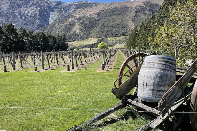 Bike & Wine Tour: Arrowtown to Valley of the Vines - Key points to know before booking