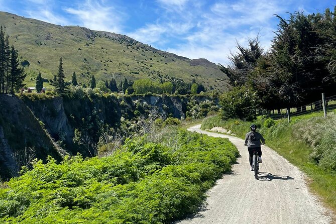 Bike & Wine Tour: Arrowtown to Valley of the Vines - Choosing between a standard bike and an e-bike