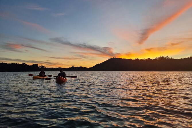 Bioluminescence Kayak Tour - Est. 1994 - A blue glow along Auckland’s northern coast