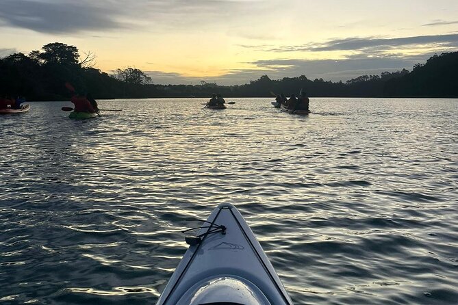 Bioluminescence Kayak Tour - Est. 1994 - What the bioluminescence actually looks like