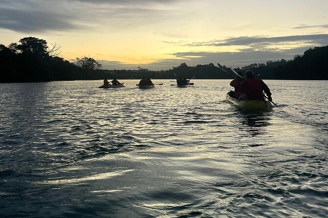 Bioluminescence Kayak Tour - Est. 1994 - Why the marine reserve matters