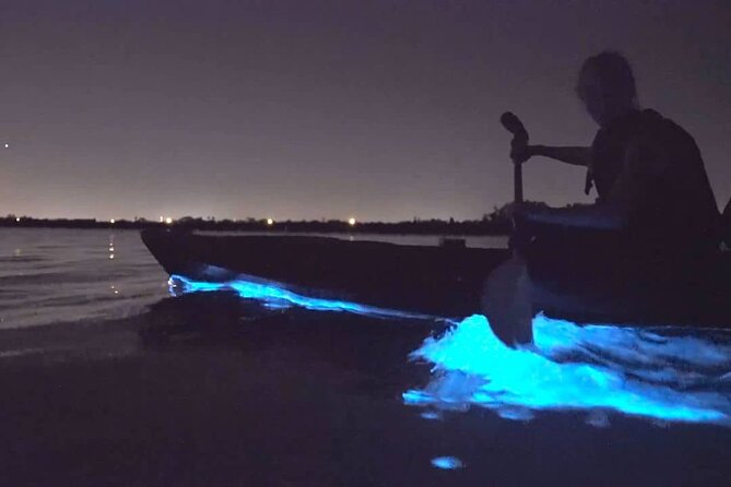 Bioluminescence Kayak Tour - Est. 1994 - Is $73.85 a fair price?