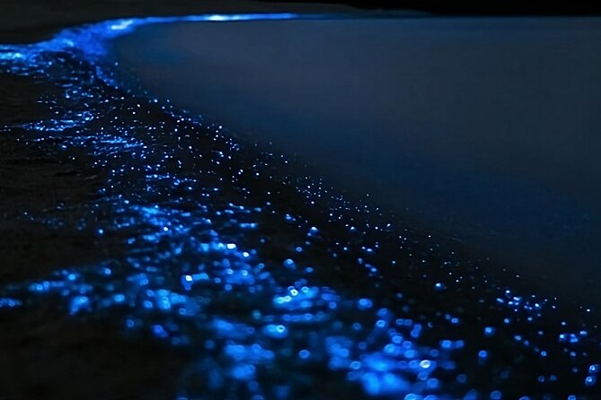 Bioluminescence Kayak Tour - Est. 1994 - Learning to kayak before the darkness settles