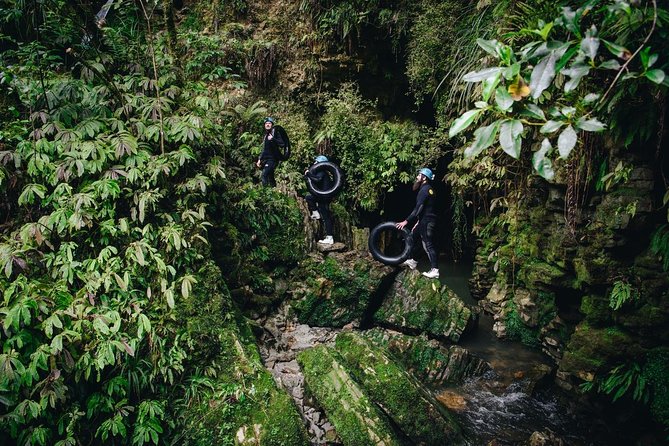 Black Abyss: Ultimate Waitomo Caving - Private Tour from Auckland - Timing, weather, and cancellation risks