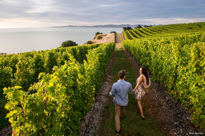 Blenheim Half day Wine Tour - What happens at the cellar doors