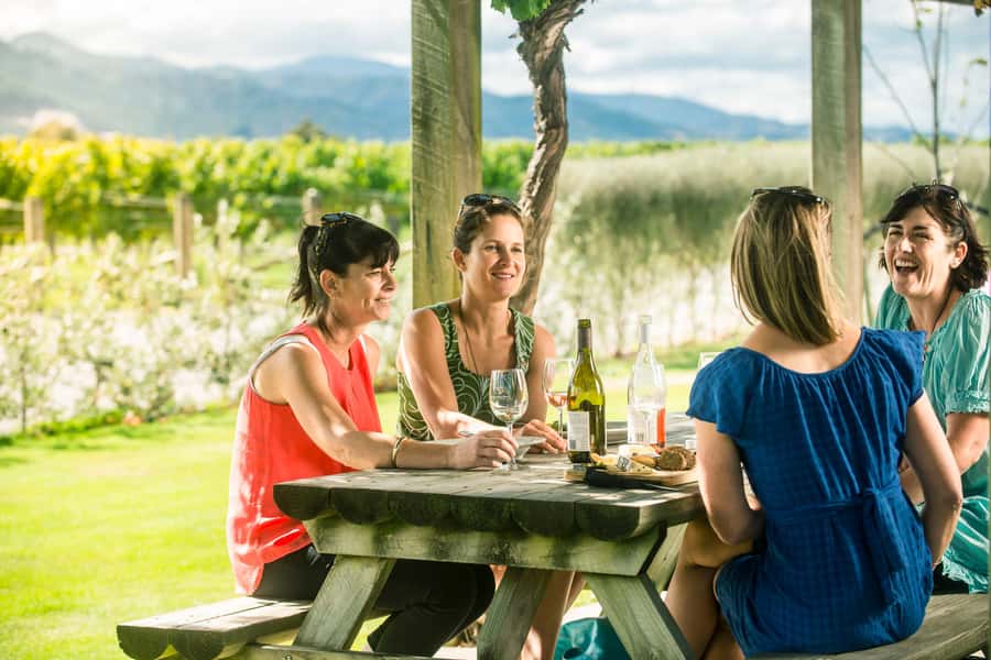 Blenheim/Renwick: Marlborough Half-Day Wine Tour with Lunch - Three or four wineries, not one long cellar-door visit