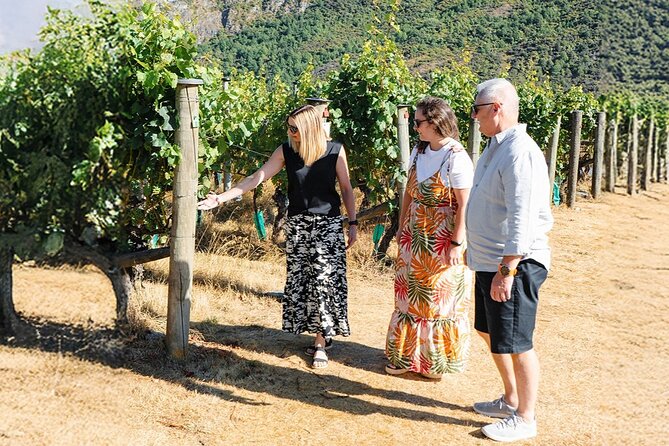Boutique Wine Tour - visit Central Otago, 4 Wineries & Lunch - Old Cromwell offers a short leg stretch