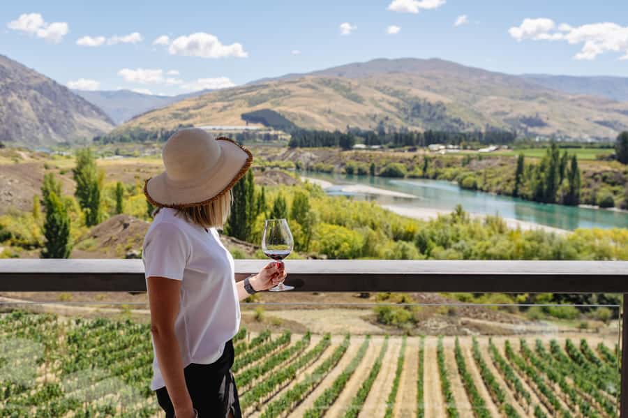 Boutique Winery Half-Day Tour & Vineyard Platter-Style Lunch - Four vineyards across two Central Otago wine districts