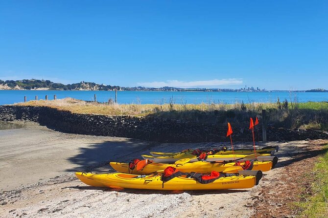 Browns Island Motukorea Sea Kayak Tour - Browns Island, a volcano with a long human story