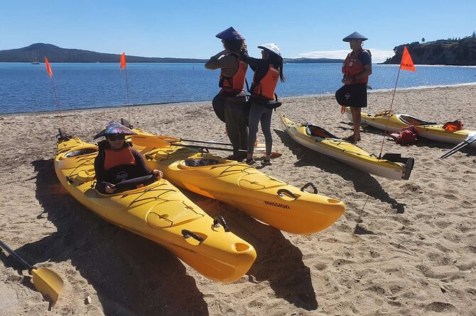 Browns Island Motukorea Sea Kayak Tour - Is $93.09 a fair price?