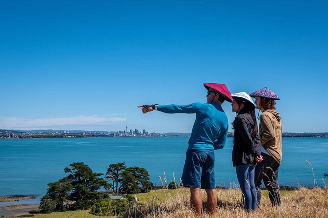 Browns Island Motukorea Sea Kayak Tour - Should you book the Motukorea sea kayak tour?