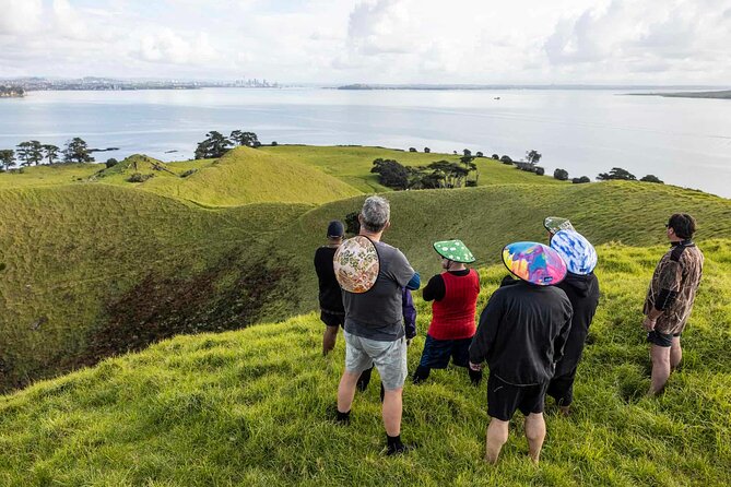 Browns Island Motukorea Sea Kayak Tour - The Barnard brothers and New Zealand’s first flying trials