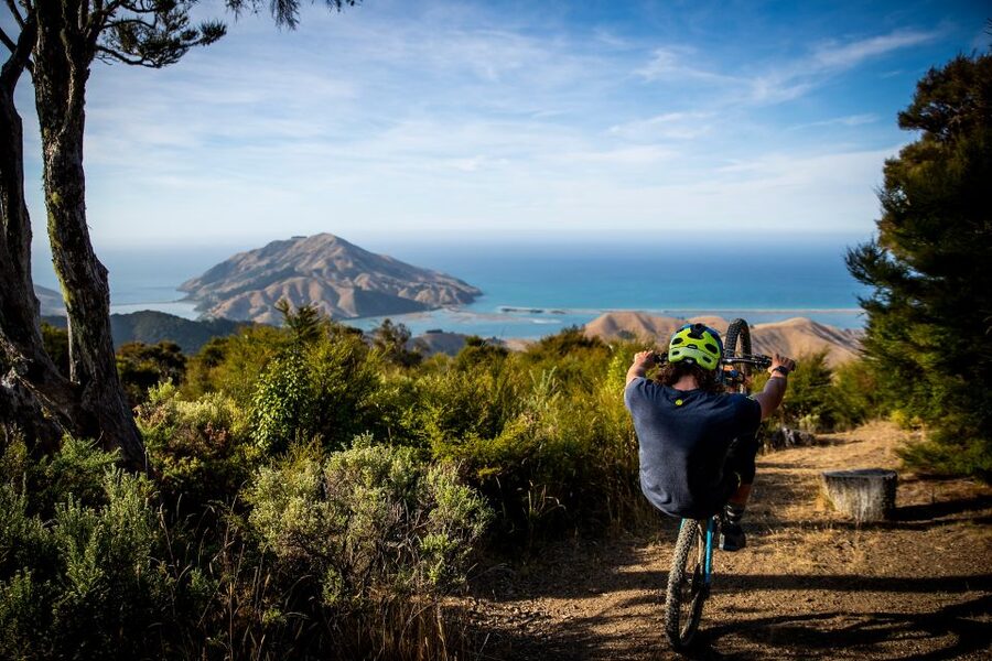 Cable Bay Adventure Park: E-bike hire - Choosing your ride at Cable Bay Adventure Park