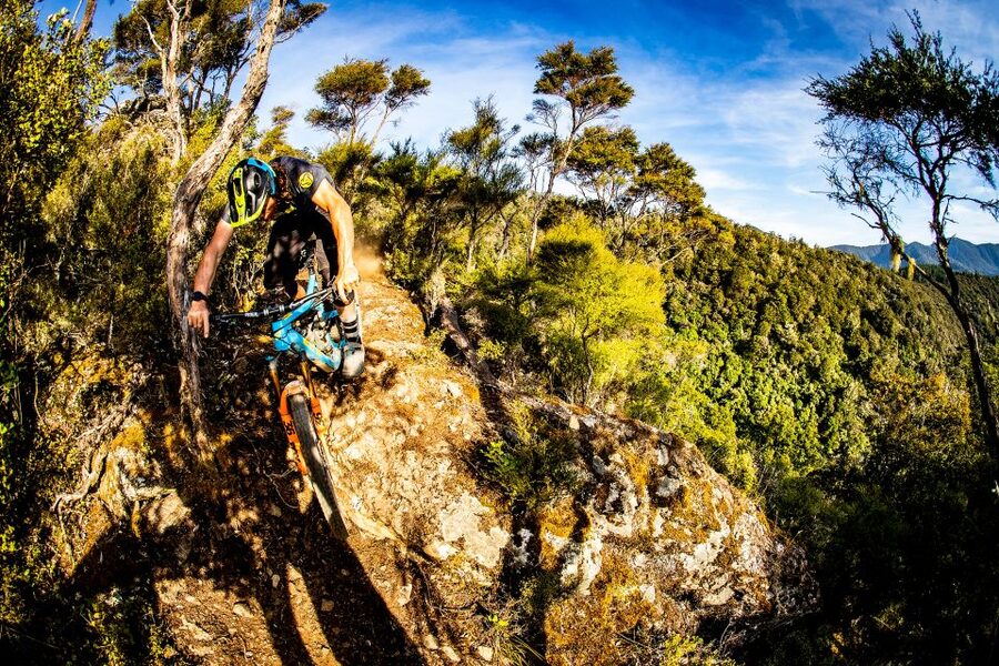 Cable Bay Adventure Park: E-bike hire - Practical planning for your four hours