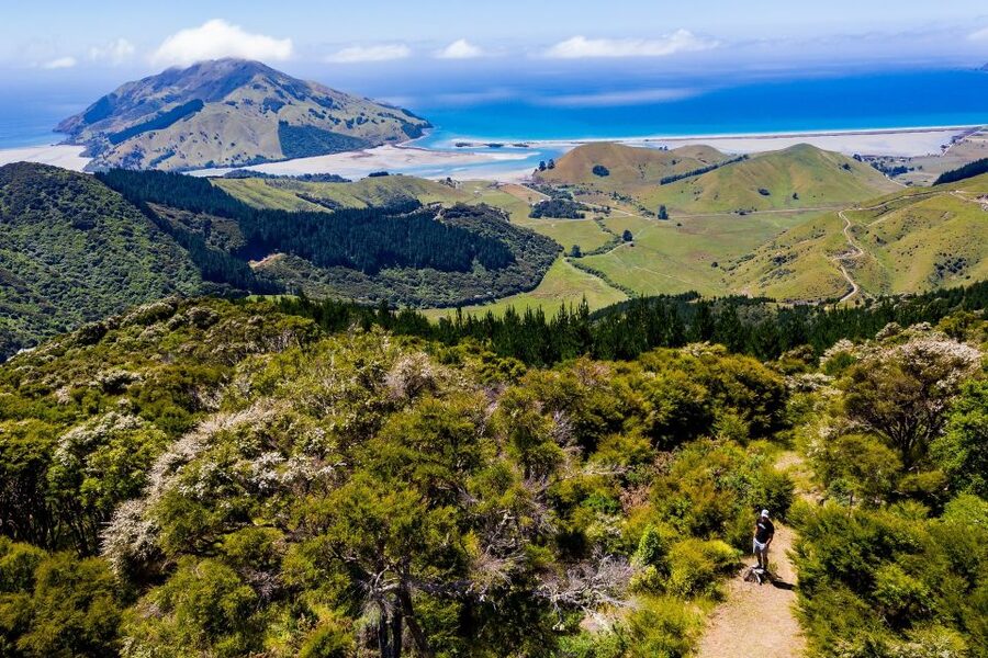 Cable Bay Adventure Park: E-bike hire - The briefing and first practice ride