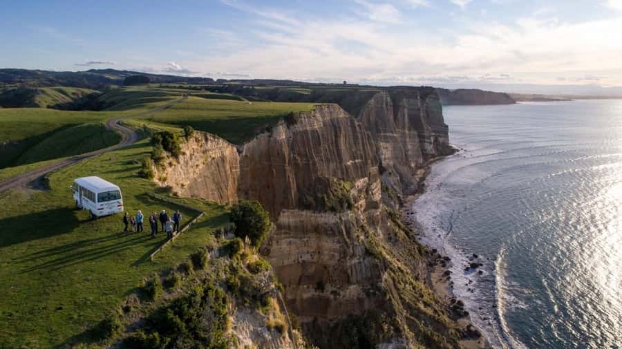 Cape Kidnappers Gannet Colony Private Tour - Key points at a glance