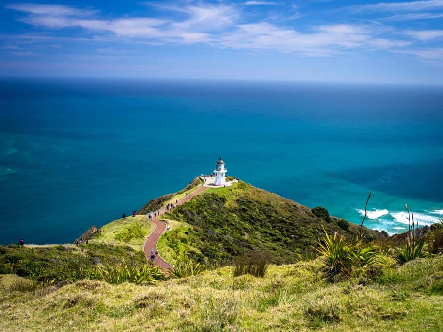 Cape Reinga: Day Trip from Paihia, Kerikeri, or Kaitaia - Key points to know before booking
