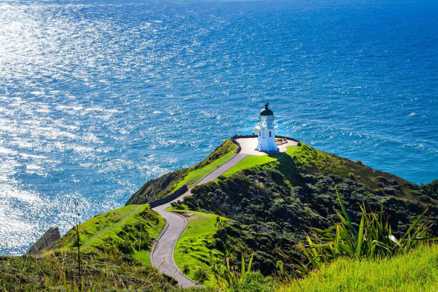 Cape Reinga: Day Trip from Paihia, Kerikeri, or Kaitaia - Why the Far North deserves a full day