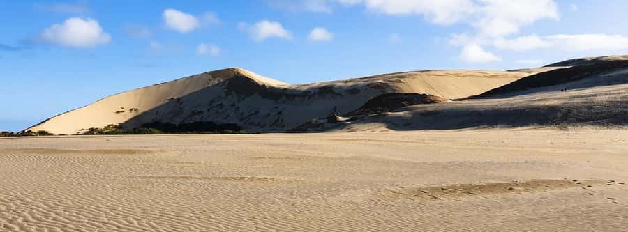 Cape Reinga: Day Trip from Paihia, Kerikeri, or Kaitaia - Who will enjoy this trip most