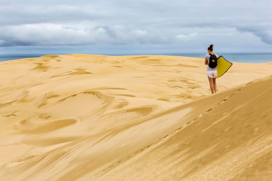 Cape Reinga: Day Trip from Paihia, Kerikeri, or Kaitaia - The road north from Paihia and Kerikeri