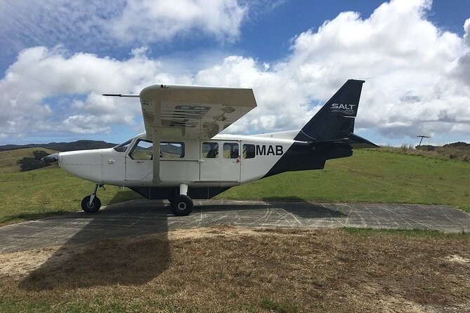 Cape Reinga Half-Day Tour Including Scenic Flight - Why flying makes Cape Reinga practical