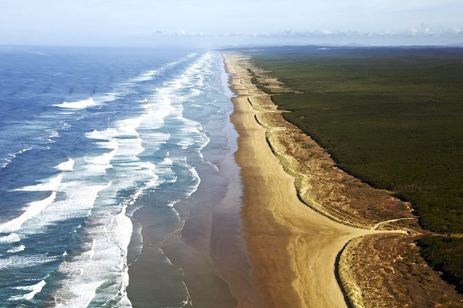 Cape Reinga Half-Day Tour Including Scenic Flight - Te Paki sand dunes add a playful finish
