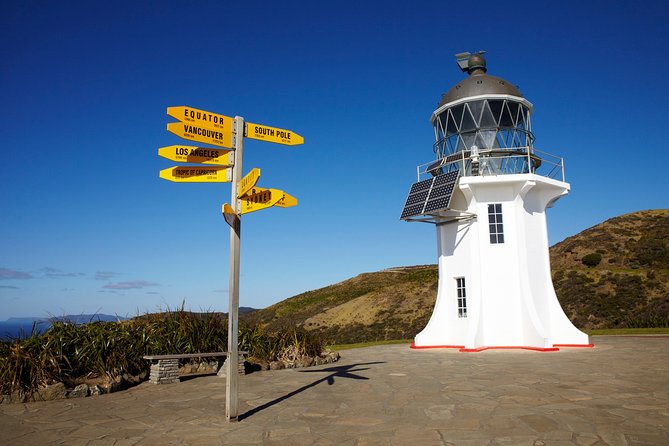 Cape Reinga Half-Day Tour Including Scenic Flight - The return flight reveals Northland from another side