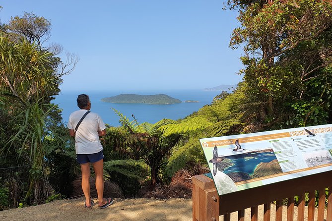 Captain Cook and Dolphin Cruise - Who should book this Picton cruise?