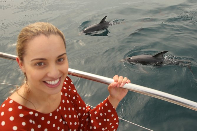 Captain Cook and Dolphin Cruise - Should you book the Captain Cook and Dolphin Cruise?