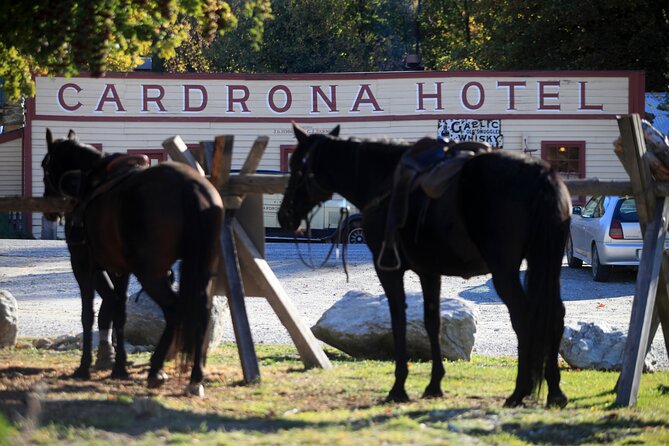 Cardrona High Country Pub Trail Horse Riding Trek (Intermediate+) - Why the Cardrona pub stop makes this ride special