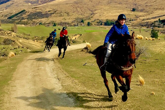 Cardrona High Country Pub Trail Horse Riding Trek (Intermediate+) - Crossing the Cardrona River