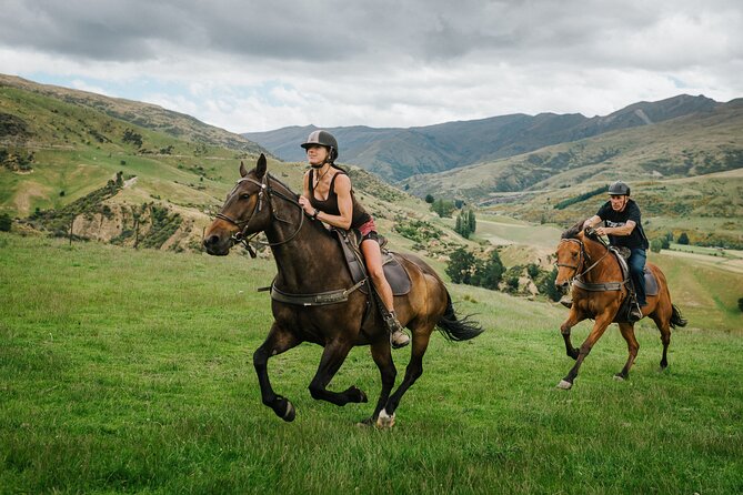 Cardrona High Country Pub Trail Horse Riding Trek (Intermediate+) - The horses and the small-group advantage
