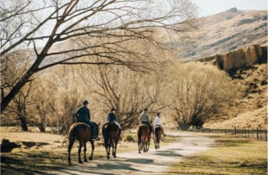 Cardrona Valley: Horse Trekking Experience - Why Cardrona Valley works so well on horseback