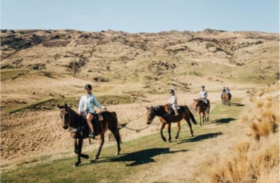 Cardrona Valley: Horse Trekking Experience - Who should book this Cardrona horse trek?