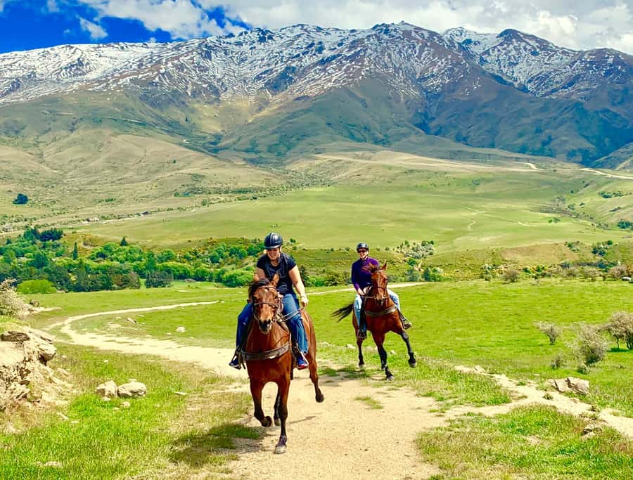 Cardrona Valley: Horse Trekking Experience - Meeting at the Bra Fence