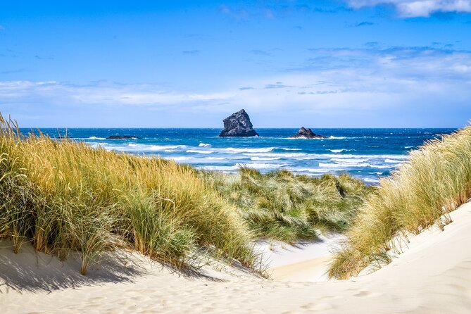 Castle, Coast & City Tour - 8 pax max - Castle Entrance Included - Key points to know before booking