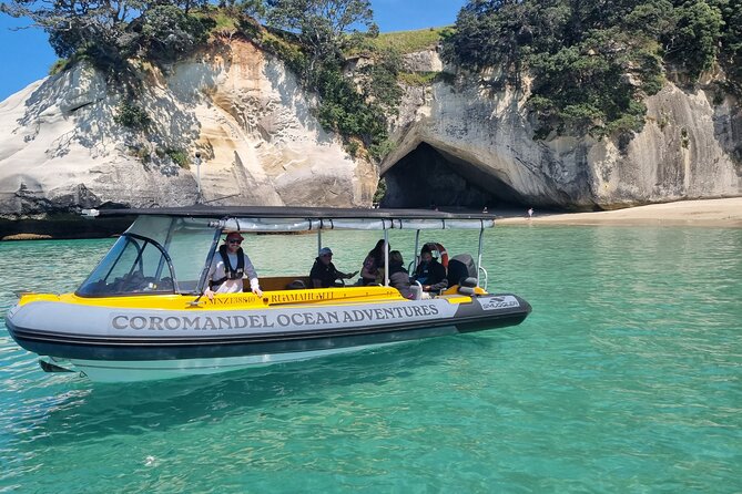 Cathedral Cove 2 Hour Guided Tour Explore Marine Wonders - Key points to know before you go