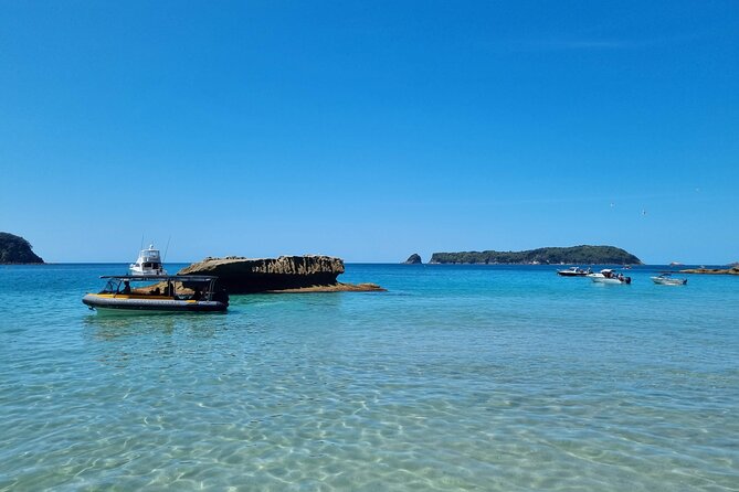 Cathedral Cove 2 Hour Guided Tour Explore Marine Wonders - A fast, scenic start from Tairua Marina