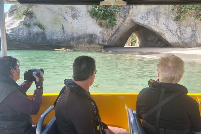 Cathedral Cove 2 Hour Guided Tour Explore Marine Wonders - Marine life in Te Whanganui a Hei