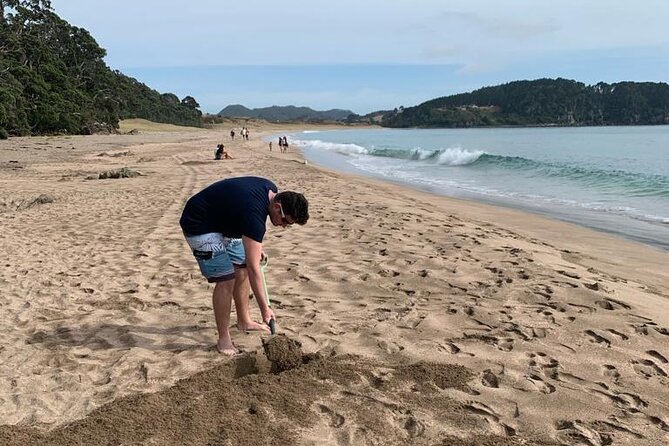 Cathedral Cove and Hot Water Beach Scenic Day Tour from Auckland - Practical details that affect your choice