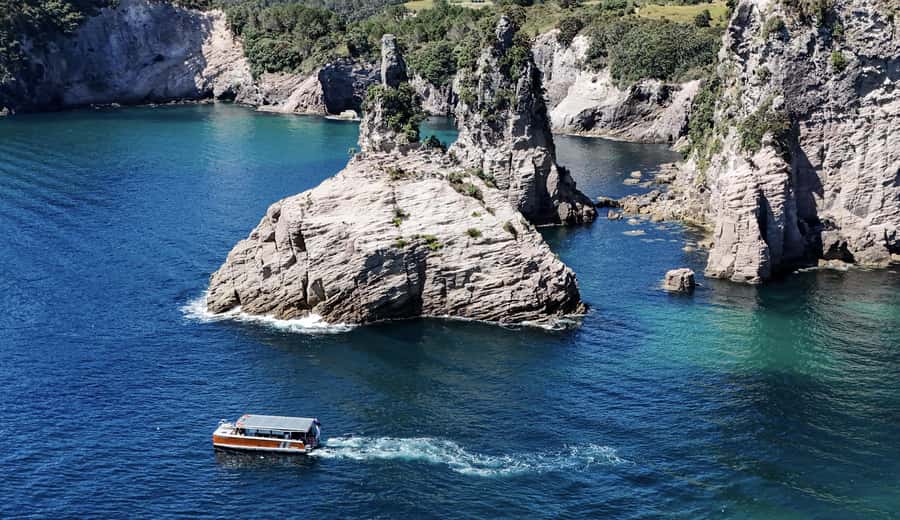 Cathedral Cove Coast and Cave Tour - Key points at a glance