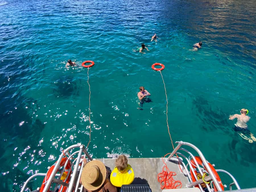 Cathedral Cove Coast and Cave Tour - Wildlife sightings are a bonus