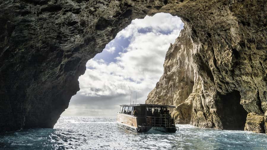 Cathedral Cove Coast and Cave Tour - Booking details worth knowing