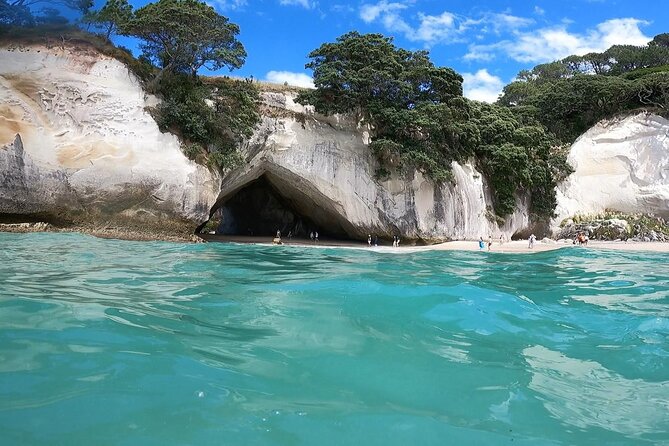 Cathedral Cove & Coromandel Peninsula Small-Group Day Tours - Key points at a glance