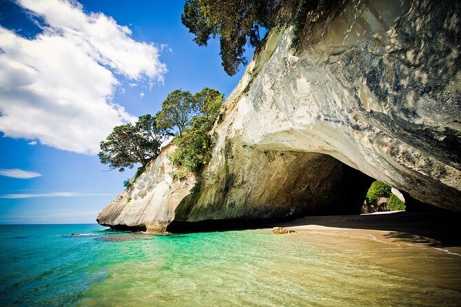 Cathedral Cove & Coromandel Peninsula Small-Group Day Tours - Why the Auckland departure makes sense